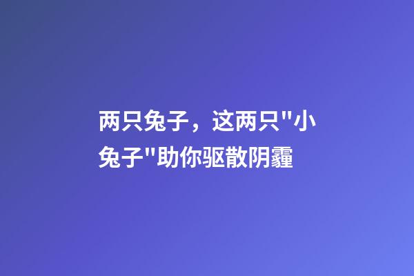 两只兔子，这两只"小兔子"助你驱散阴霾-第1张-观点-玄机派
